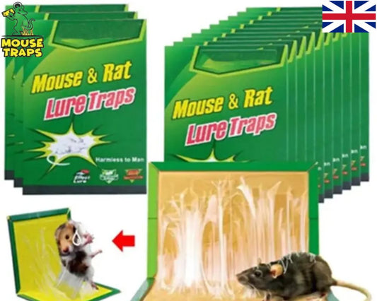 Which Mouse Traps Are Most Effective In UK?