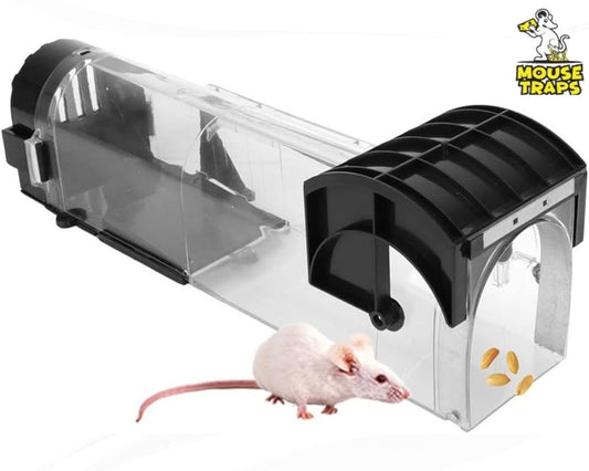 The Best Alternative Of Wilko Mouse Trap In UK