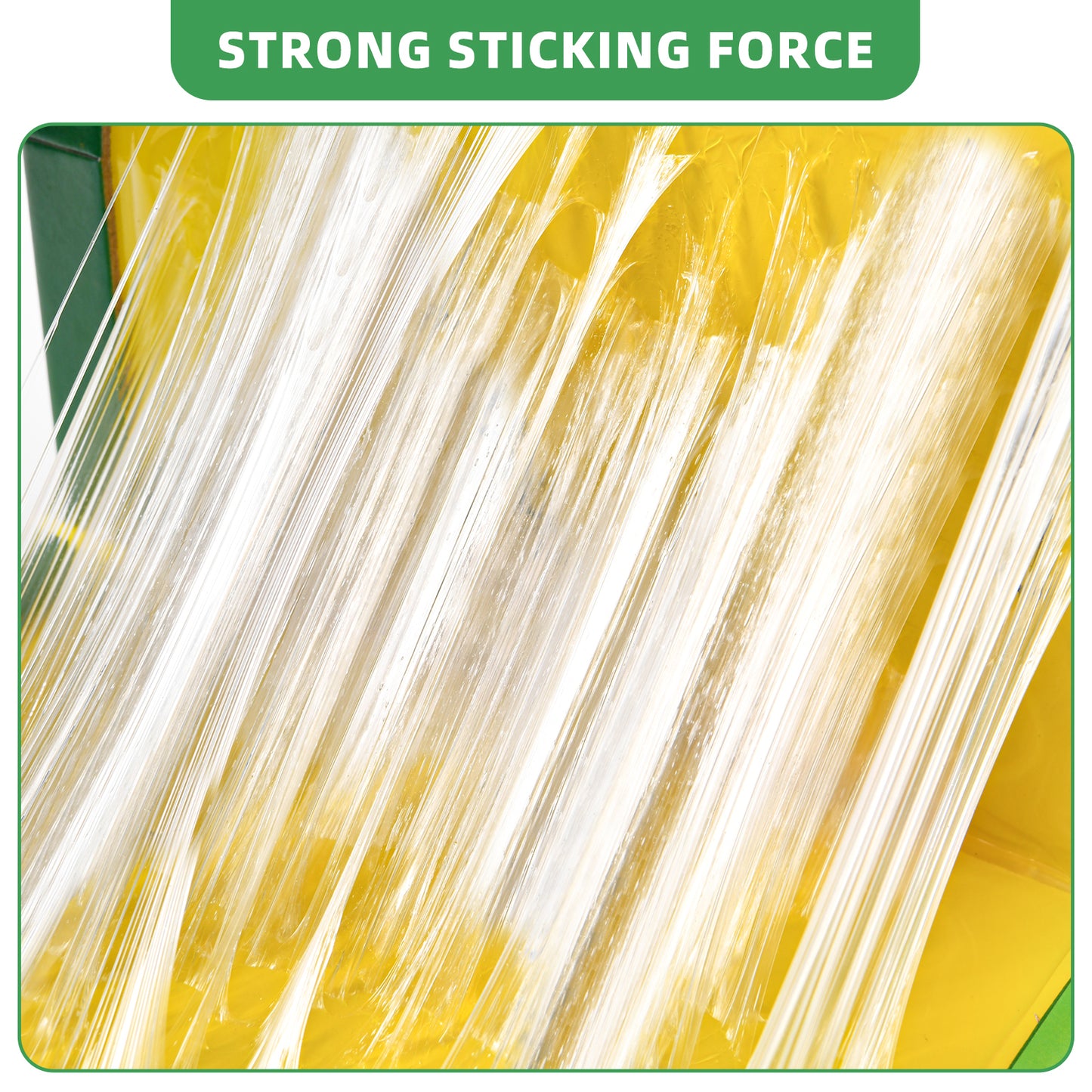 WHEELIO Sticky Traps 6 Packs Large Extra Strong Sticky Trap - Sticky Pads Board Gum Pads for Indoor Outdoor, Home Kitchen, Garage, Garden