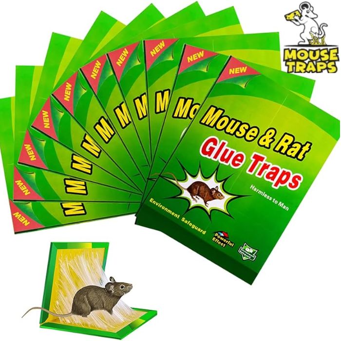 How Long Does It Take A Mouse To Die On A Glue Trap?