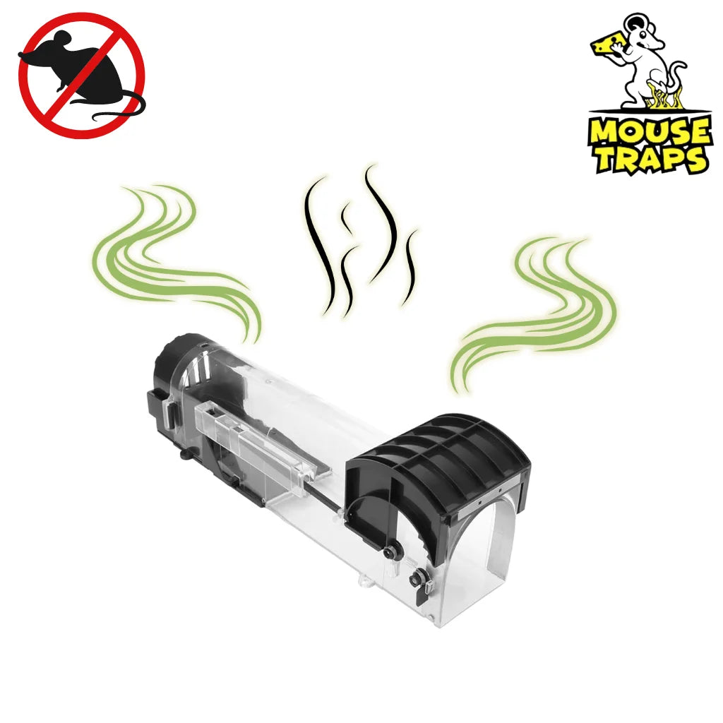 How To Remove Human Scent From Mouse Traps? - in UK
