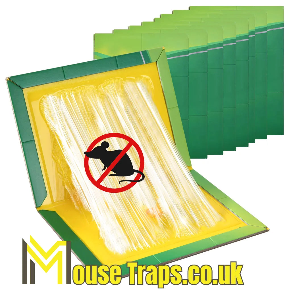 Mouse Sticky Glue Pads Traps