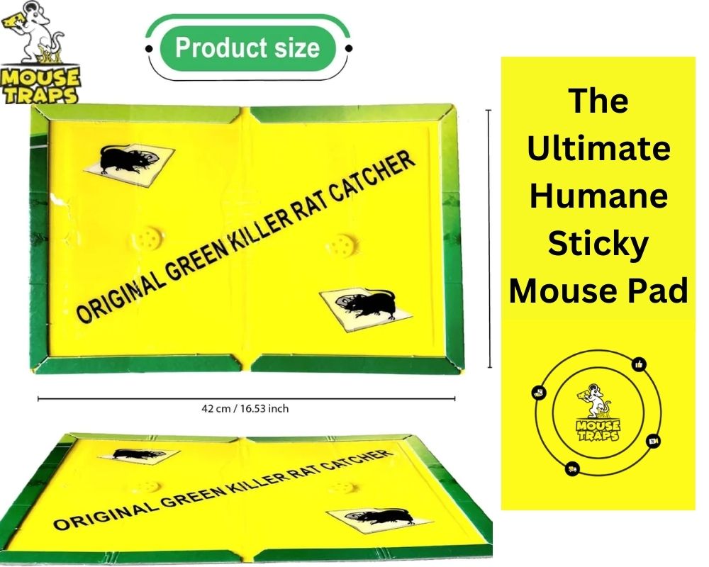 WHEELIO Mouse Trap Sticky Pads - Ultimate Usage Guide