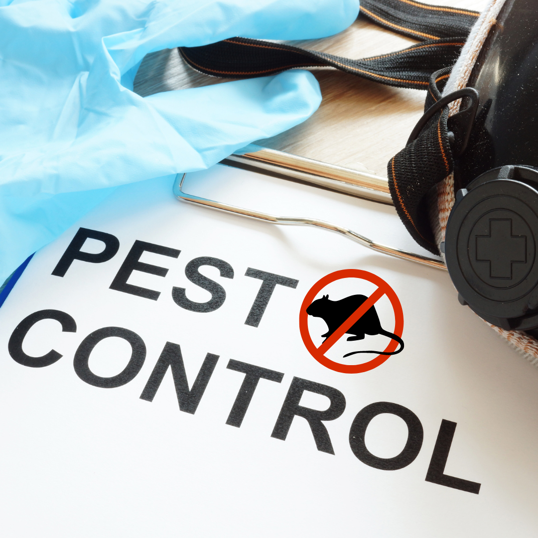 assistance available for pest control in the UK